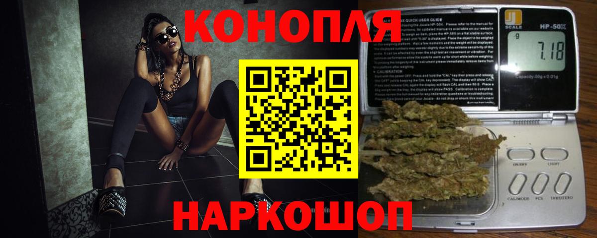 Бошки Шишки MAZAR  Конопля марихуана  Канабис сатива  Сибай  Конопля марихуана  Вход с VPN 